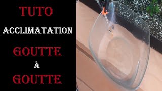 TUTO Acclimatation goutte a goutte [upl. by Nananne]