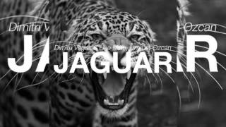 Dimitri Vegas amp Like Mike vs Ummet Ozcan  Jaguar Original Mix [upl. by Arutak]