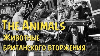 The Animals  Животные британского вторжения [upl. by Naillig]