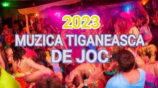 MUZICA TIGANEASCA DE JOC 2023 [upl. by Onitsuj]