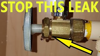 How To Fix Leaking Shut Off Valve FAST DIY [upl. by Ailasor218]