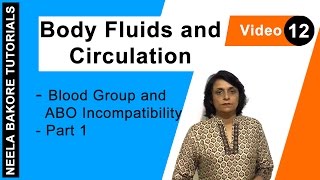 Body Fluids and Circulation  NEET  Blood Group and ABO Incompatibility  Part 1  Neela Bakore [upl. by Eedeed334]