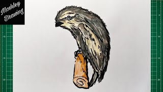 How to Draw a Tawny Frogmouth Owl [upl. by Malik]