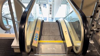 🌟GOLD Escalators 🌟  2x Schindler Escalator ride at TK Maxx store Fleet Walk Shopping  Torquay UK [upl. by Woehick783]