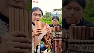 The Sound of Silence  panflute  Flute Quena  Toyus And Sunpa Arts sunmusic panflute sunpa [upl. by Anirrok]