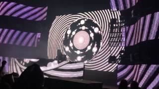 Bassnectar  Frog Song LIVE Detroit MI DOTD 1112014 [upl. by Harden]