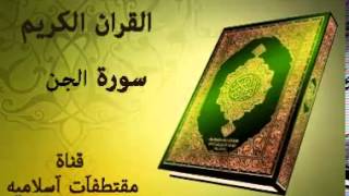 سورة الجن بصوت ياسر الدوسري Surat Al Jinn Voice Yasser Al Dosari [upl. by Nimoynib]