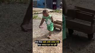 এই বানর গেছে বাজার করতে  তারপর যা হলো 😂 monkey unknownfacts viralshorts [upl. by Desta641]