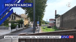 Animali morti sul Dogana lASL quotColpa del botulismoquot [upl. by Zak]