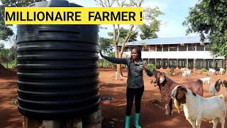 All You Need To Start A Simple GOAT Farm Business DETAILED Plan Farm Routine [upl. by Liban]