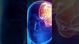 2024 MindBlowing Secrets of the Human Brain In English shorts [upl. by Tarazi685]