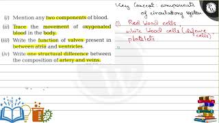 i Mention any two components of blood ii Trace the movement of oxygenated blood in the body [upl. by Ahsinwad]