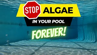 Never See Algae in Your Pool Again [upl. by Currier]