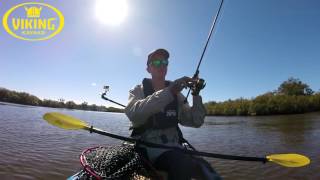 Maroochydore QLD Kayak Fishing⎟Bream Session [upl. by Auqenes]