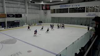 North Jersey Avalanche 2010 versus Mid Fairfield [upl. by Emirak]