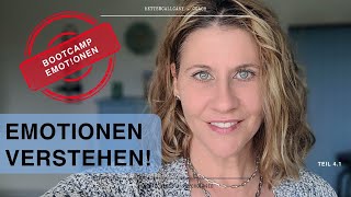 Leiden unter GefühlsChaos Bootcamp Emotionen Teil 41 Fallbeispiel [upl. by Lirba]