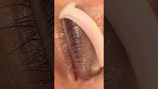 Impressive lash lift technique  Lash Flash [upl. by Tuckie]