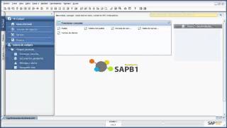 Fundamentos SAP Business One  Ejercicio 02  Manipular el Cockpit [upl. by Linda]