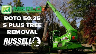 Tree Removal with a Merlo Roto 5035 S Plus [upl. by Bal]