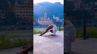 Standing chakrasana variation yogaurmi youtubeshorts shorts shortvideo youtube yogapose yoga [upl. by Mathilda]