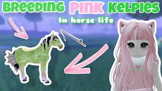 Breeding PINK Kelpies in Horse Life 😱🎀  Horse Life Roblox [upl. by Chadd]