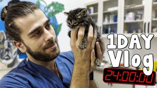 YAVRU KEDİ SALDIRISI 😍  Klinikte 1 Gün VLOG [upl. by Angie]