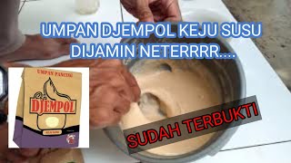 Umpan Djempol Keju Susu  Buat Tetangga Bengong [upl. by Hurwit644]