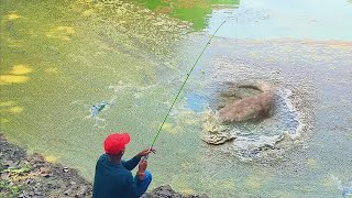 January 14 2024 new fishing video  best float fishing video  fishing videos [upl. by Hazaki]