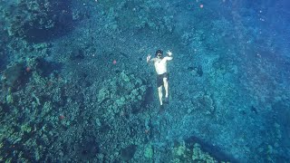 Molokini and Turtle Station [upl. by Loralie]