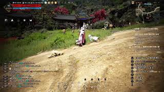 ［黒い砂漠PS4版］123 朝の国クエ進めますね！！ [upl. by Anillek306]