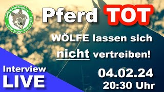 Wolfinfo Aktuell Interview LIVE Pferd TOT  Wölfe lassen sich nicht vertreiben [upl. by Leahcimal917]