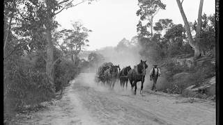 Epping Cheltenham and Beecroft Sydney NSW Then and Now [upl. by Aissyla]