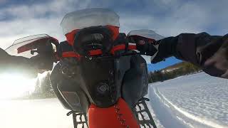 ski doo backcountry xrs 850 22 WHEELIE MACHINE [upl. by Arraeis]