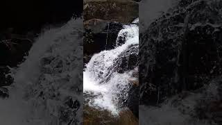 Kanneliya white water [upl. by Enois]