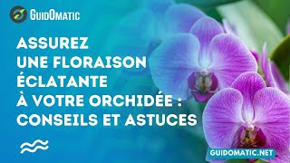 👉 Assurez une Floraison Éclatante à Votre Orchidée  Conseils et Astuces [upl. by Betsy369]