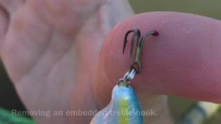 How To Remove an embedded treble hook Easy and painless [upl. by Wrennie]