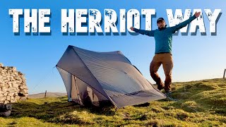 3 Days Backpacking in the Beautiful YORKSHIRE DALES  The Herriot Way part 1 [upl. by Aznarepse776]