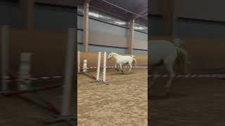 christmas horse equestrian 2024 2024 häst riding jumping horseriding automobile dressage [upl. by Nnylorac]