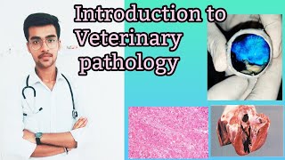 Introduction to Veterinary pathology  Vet study  by Aniket tyagi [upl. by Yenahs]