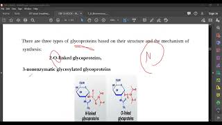 L29 Glycoproteins amp Proteoglycans [upl. by Milburr]