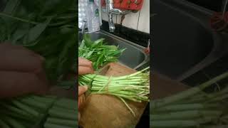 how to Cutting Roots my fresh kangkong for cooking Healthy veggiesytshorts trending shortvideo [upl. by Wagoner]