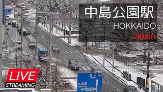 【LIVE】道路状況・中島公園駅周辺 札幌市中央区南８条西４丁目 [upl. by Rheingold892]