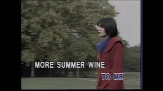 SUMMER WINE  NANCY SINATRA [upl. by Nemra]