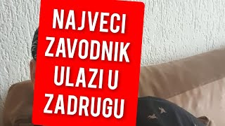 SVI NA NOGAMA NAJVECI ZAVODNIK ULAZI U ZADRUGU [upl. by Wainwright671]