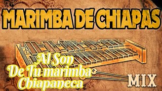 MARIMBA DE CHIAPAS PURA MARIMBA ✔ MARIMBAS MIX [upl. by Portwine]