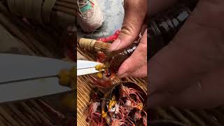 Teach you how to quickly clean crayfish Sannong Crayfish The season for eating crayfish Your fav [upl. by Eornom745]