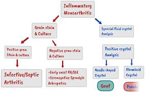 Approach To the patient with Arthritis  Rheumatology Medicine [upl. by Ris]