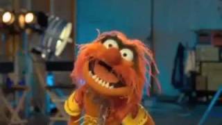 Animal  The Muppets  quotMahna Mahnaquot [upl. by Nailliw]