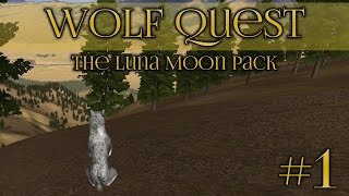 Wolf Quest 🐺 Learning To Hunt  Episode 1 [upl. by Akinnej942]