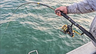 Early Season  Westernport Whiting amp Snapper Fishing [upl. by Arihppas176]